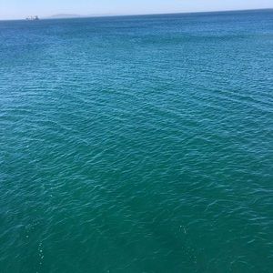 Meet your Posher, Marcelino